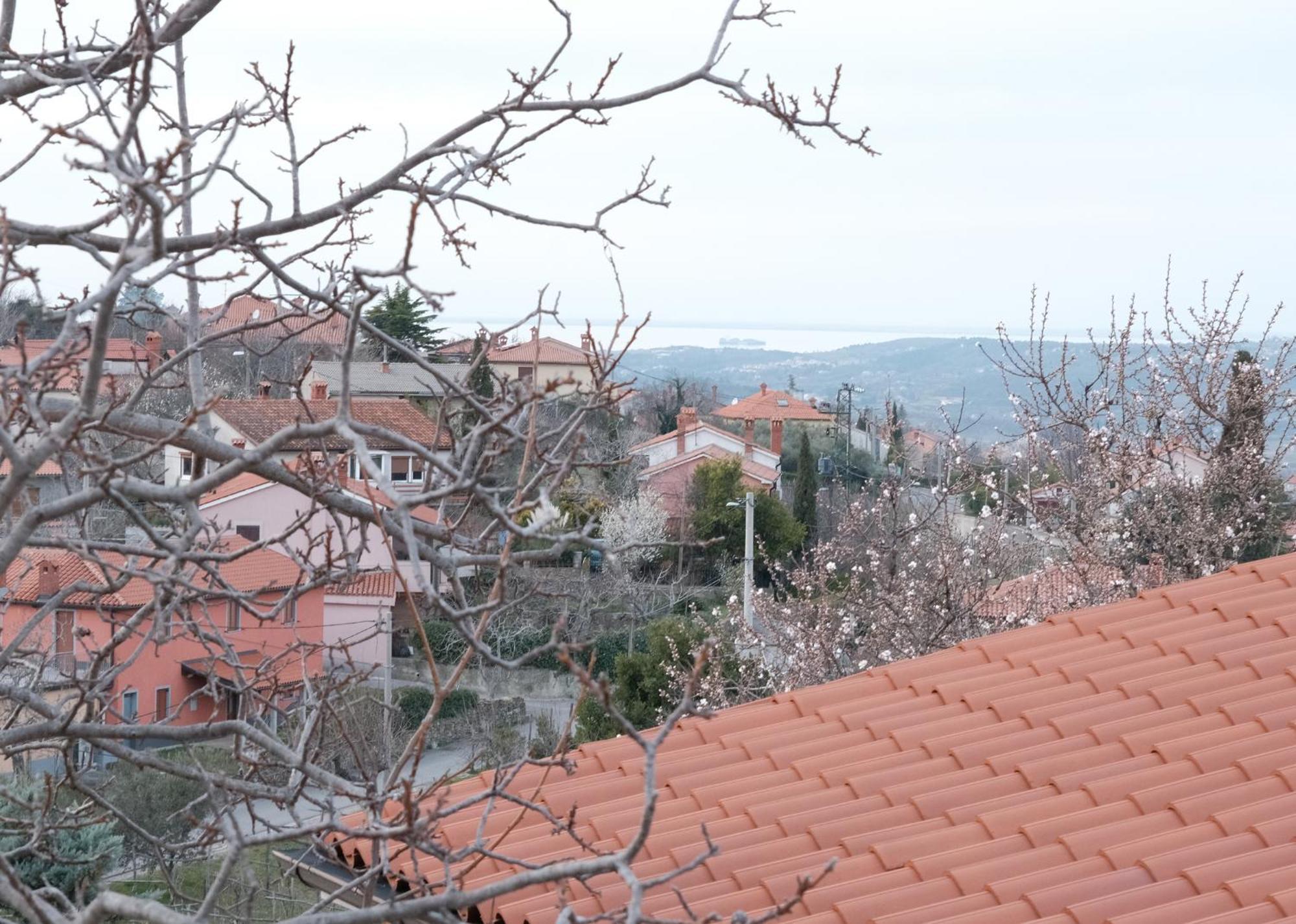 Apartma Nika Pobegi Extérieur photo